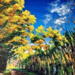 Tunnel of Trees 木々のトンネル