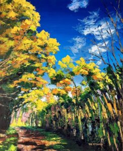 Tunnel of Trees 木々のトンネル