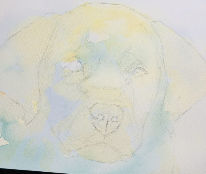 水彩で描かれた犬。Watercolour painting of a dog.