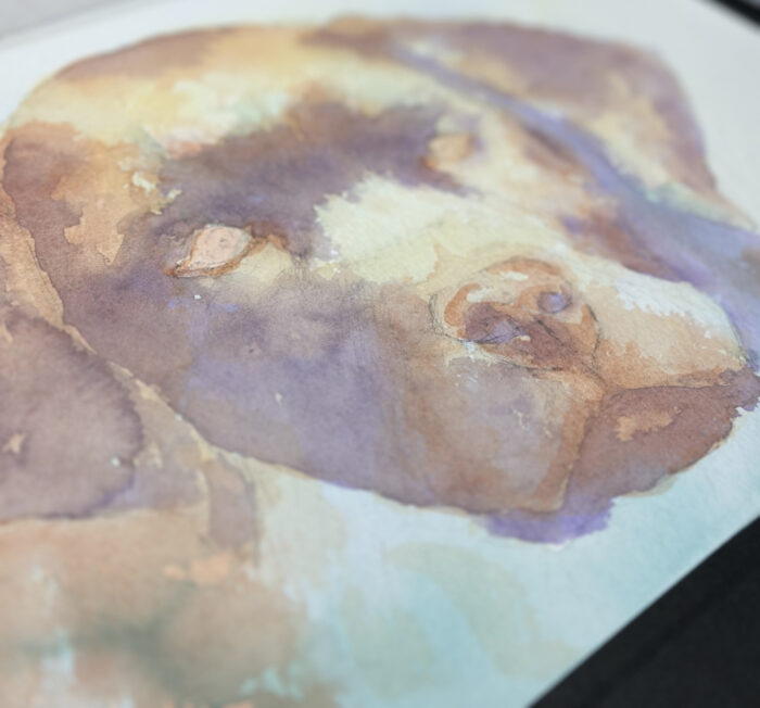 水彩で描かれた犬。Watercolour painting of a dog.