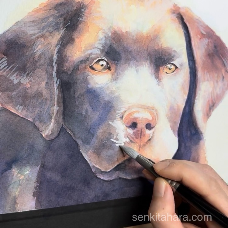 [Video 動画]水彩で犬を描く Paint a dog in watercolour