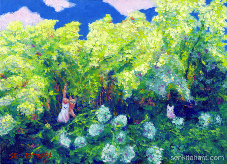 Cats in Bushes 茂みの中の猫たち