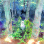 Welcome to the Dark Forest 暗い森へようこそ