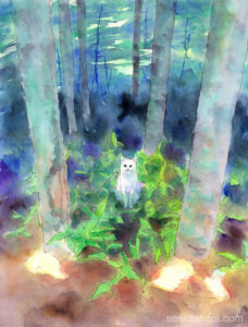 Welcome to the Dark Forest 暗い森へようこそ